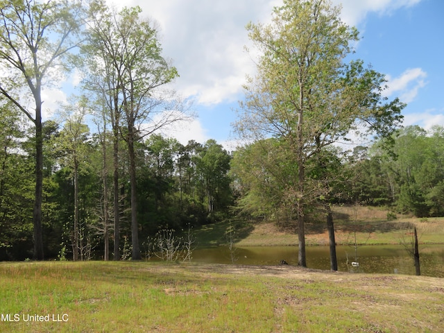 Listing photo 2 for Mitchum Bottom Rd, Meridian MS 39301