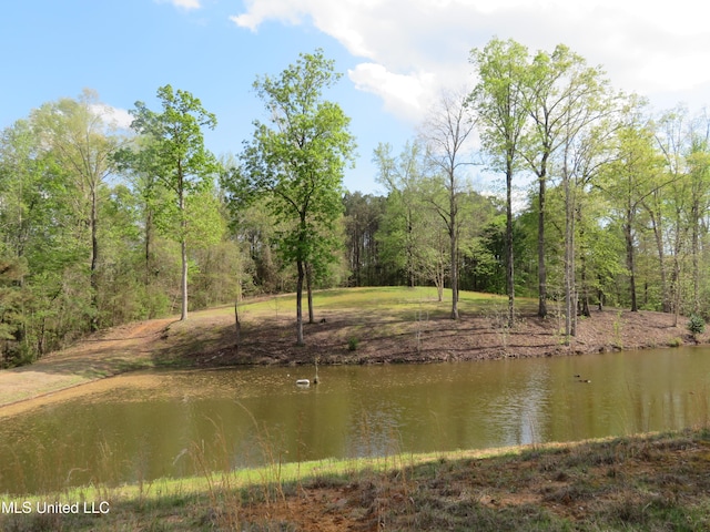 Listing photo 3 for Mitchum Bottom Rd, Meridian MS 39301