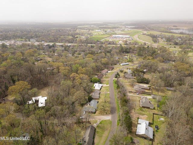 bird's eye view