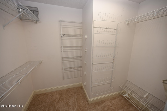 spacious closet featuring carpet