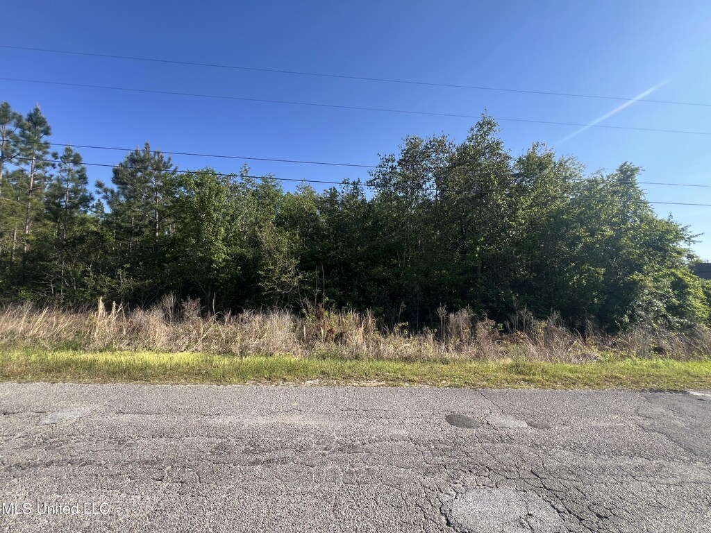 19719 Brighton Dr, Saucier, MS 39574
