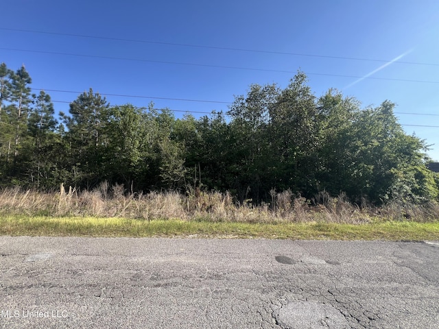 19719 Brighton Dr, Saucier, MS 39574