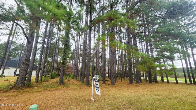 0 Pins Ct, Natchez MS, 39120 land for sale