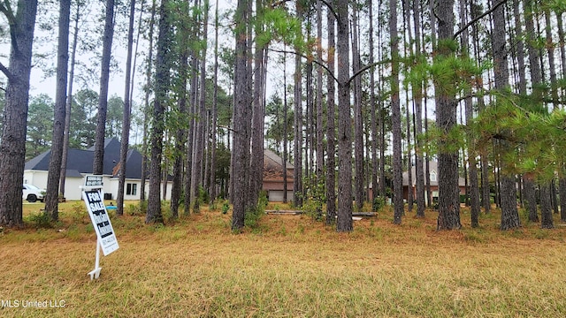 Listing photo 2 for 0 Pins Ct, Natchez MS 39120