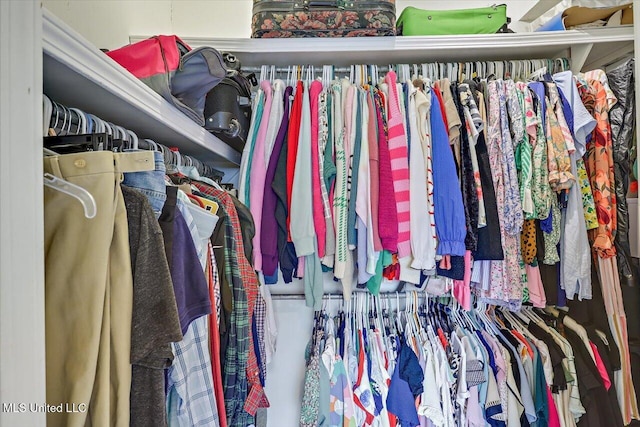 501 Brighton Cir, Brandon, MS 39047 - view of walk in closet