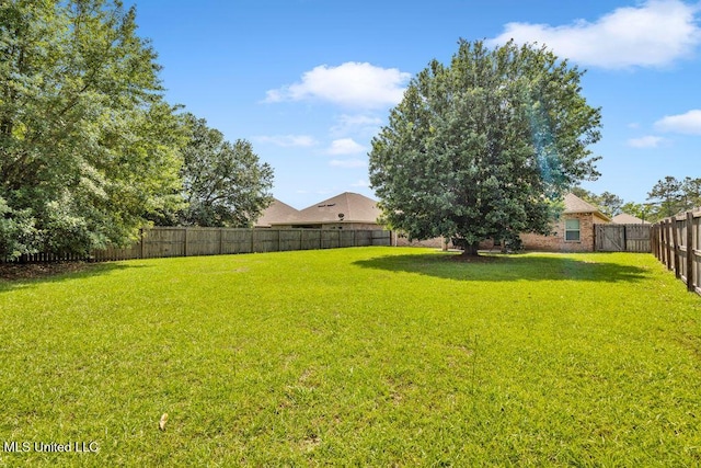 view of yard featuring a fenced backyard