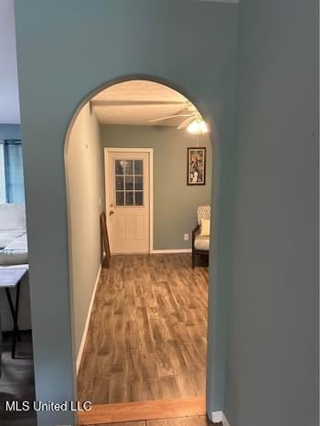 hall featuring wood-type flooring