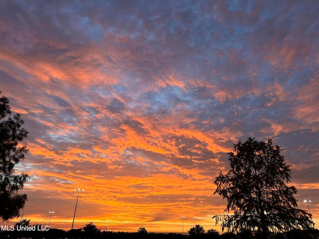 view of nature at dusk