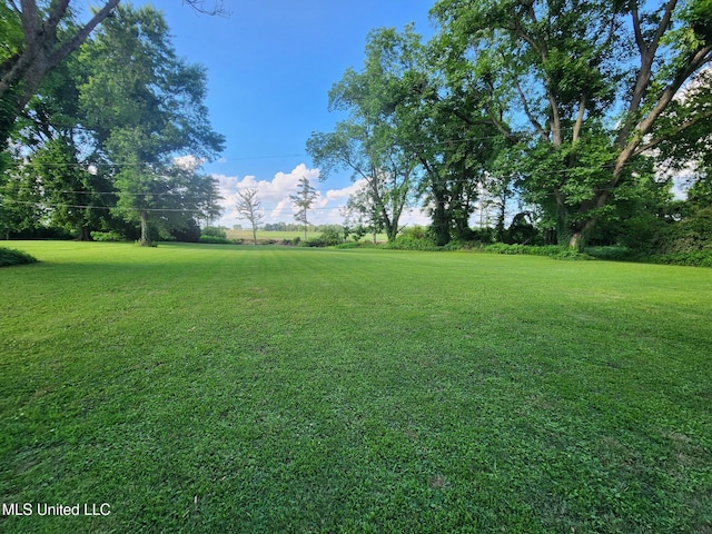 1365 Bruister Rd, Tutwiler, MS 38963 - view of grassy yard