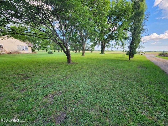 1365 Bruister Rd, Tutwiler, MS 38963 - view of grassy yard