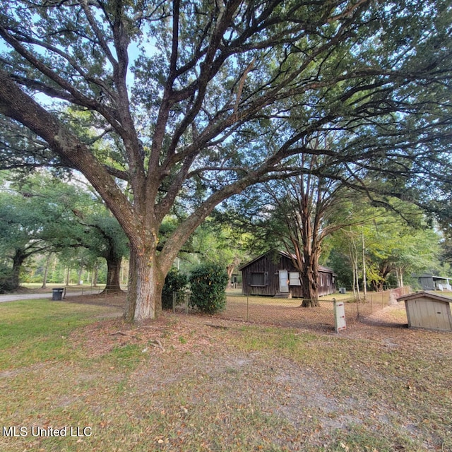 view of yard with a storage shed