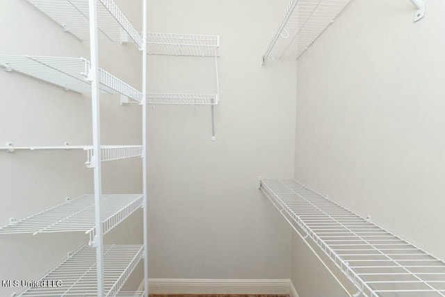 view of spacious closet