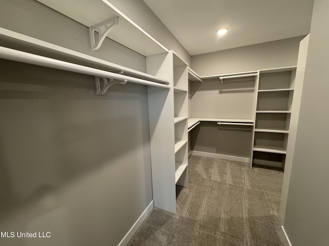 walk in closet with carpet