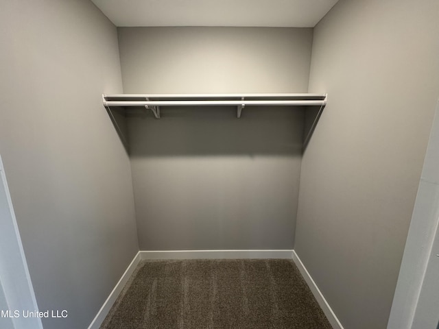 walk in closet featuring carpet floors