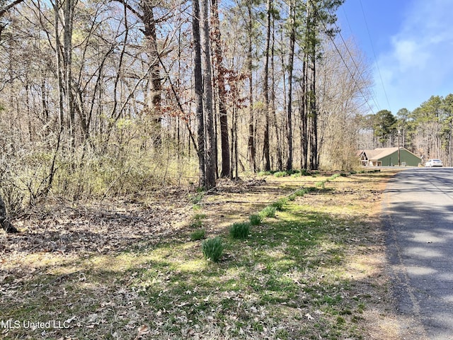 6121 Pleasant Hill Dr, Hernando MS, 38632 land for sale