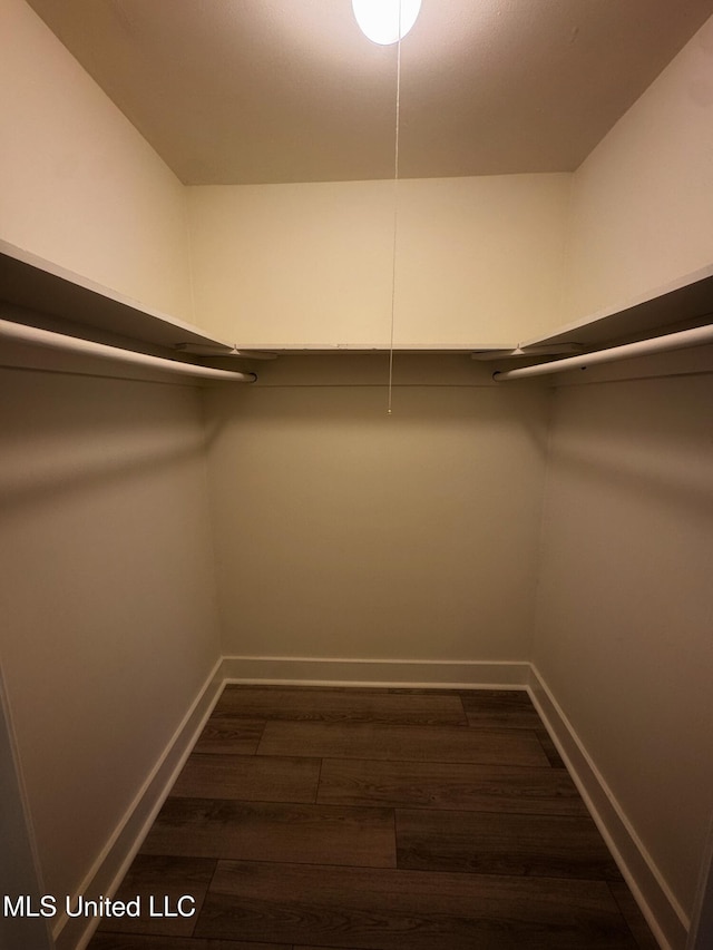 spacious closet featuring dark hardwood / wood-style floors