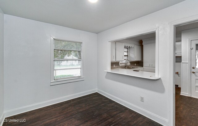 interior space featuring dark wood-type flooring and sink