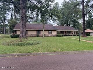 ranch-style house with a front yard