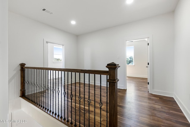 hall featuring dark wood-type flooring and plenty of natural light