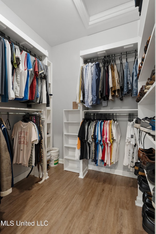 walk in closet with hardwood / wood-style floors