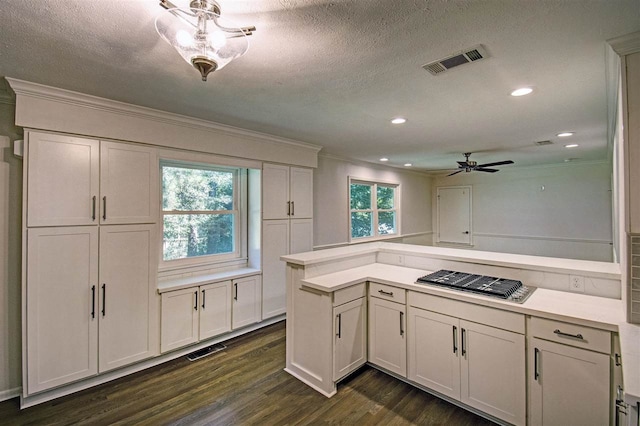 kitchen with dark wood-type flooring, a textured ceiling, ornamental molding, and kitchen peninsula