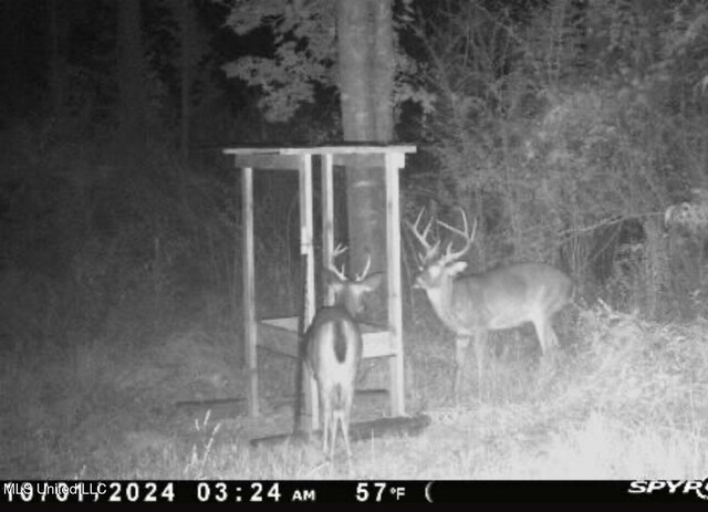 1351 Meadville Rd, Fayette, MS 39069