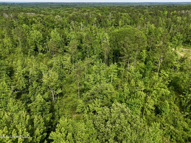 1351 Meadville Rd, Fayette, MS 39069