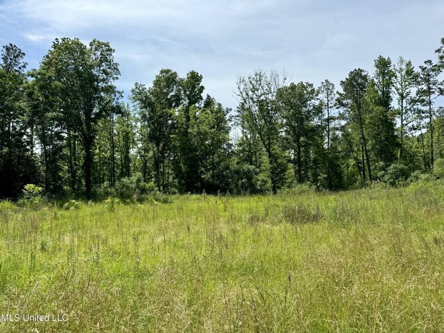 1351 Meadville Rd, Fayette, MS 39069