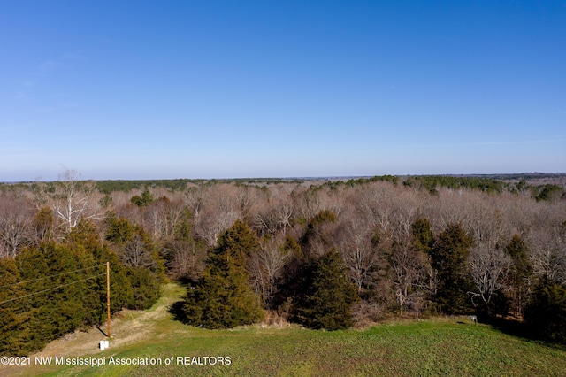 705 Wall Hill Farms, Byhalia, MS 38611