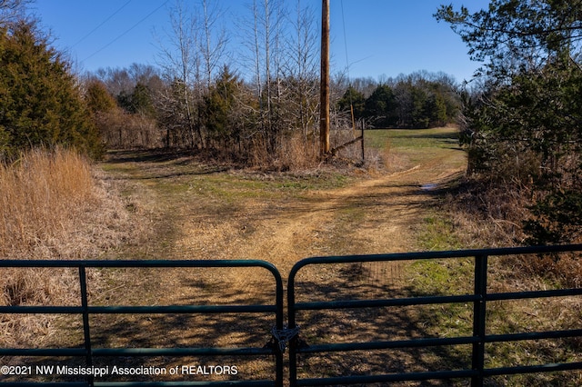 705 Wall Hill Farms, Byhalia, MS 38611