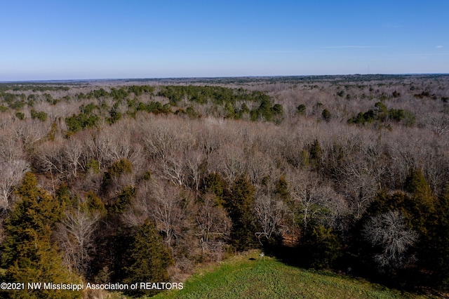 705 Wall Hill Farms, Byhalia, MS 38611