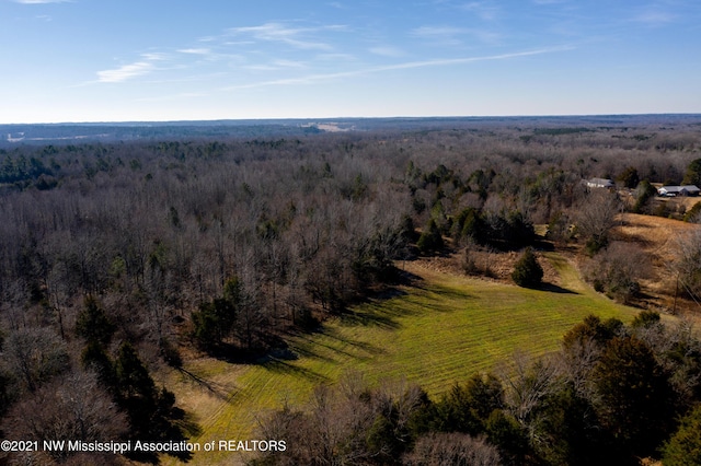 705 Wall Hill Farms, Byhalia, MS 38611