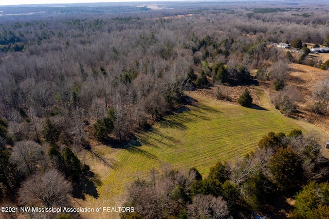 705 Wall Hill Farms, Byhalia, MS 38611