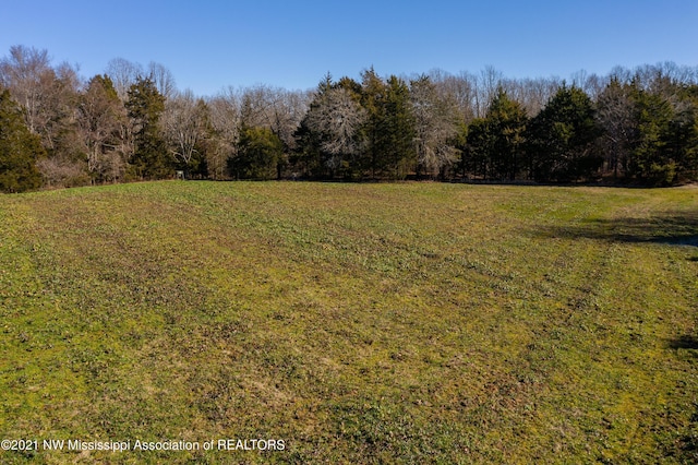 705 Wall Hill Farms, Byhalia, MS 38611
