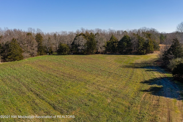 705 Wall Hill Farms, Byhalia, MS 38611