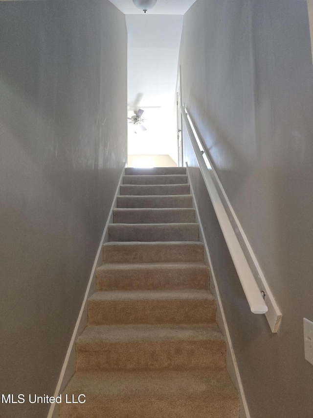 staircase featuring baseboards, ceiling fan, and carpet