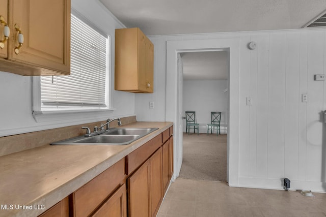 kitchen featuring light colored carpet, light countertops, a sink, and visible vents