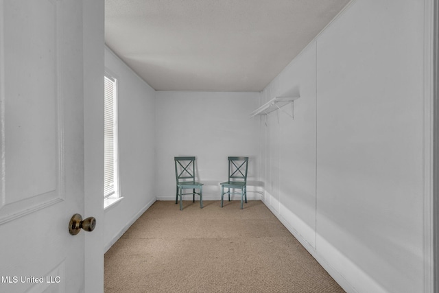 interior space featuring light colored carpet