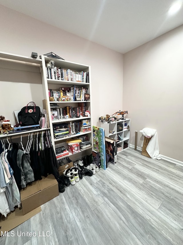 interior space with wood finished floors