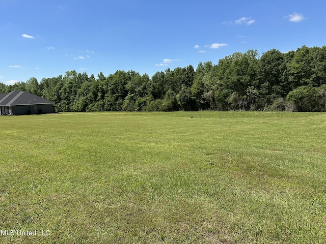 view of yard featuring a rural view and a view of trees