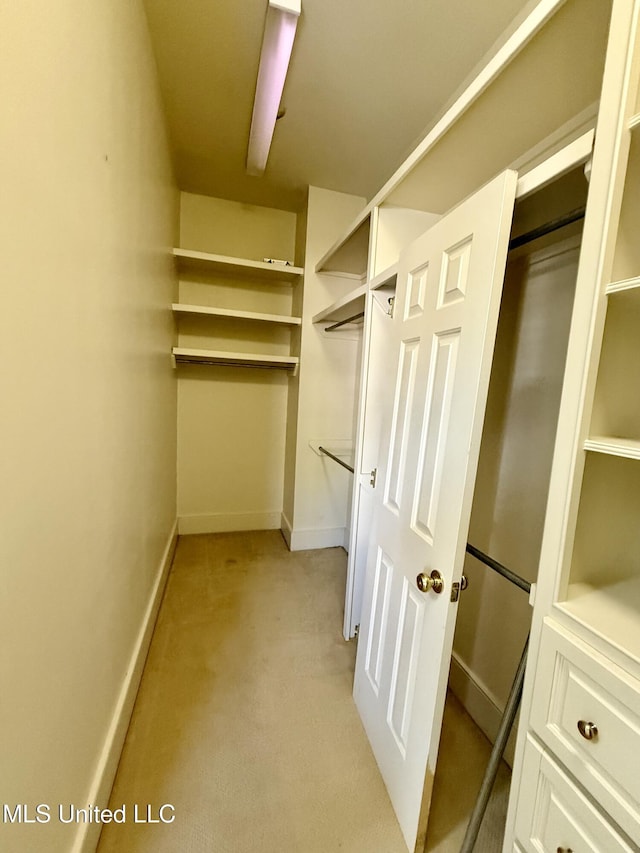 spacious closet featuring light colored carpet