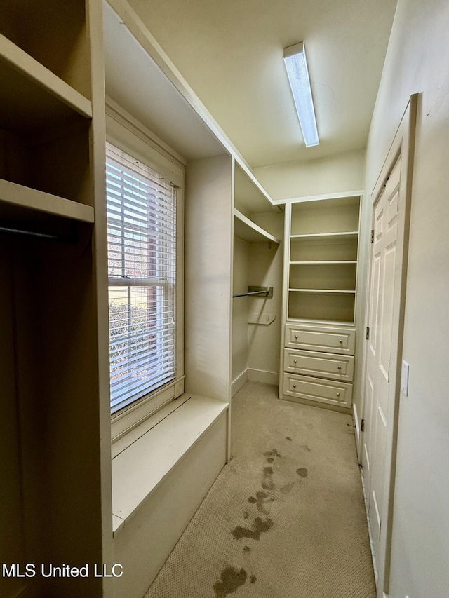 walk in closet with carpet flooring