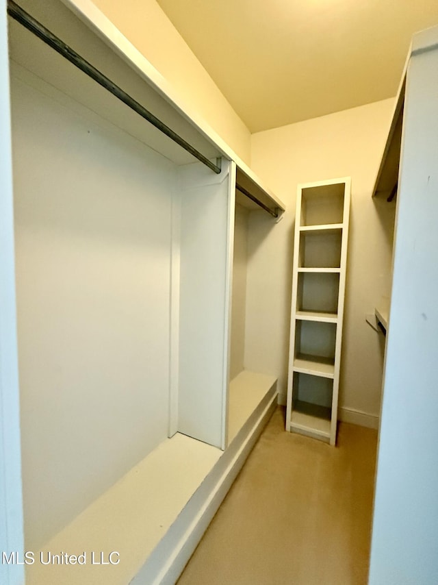 walk in closet with light carpet