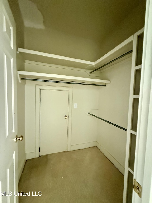 walk in closet with light colored carpet