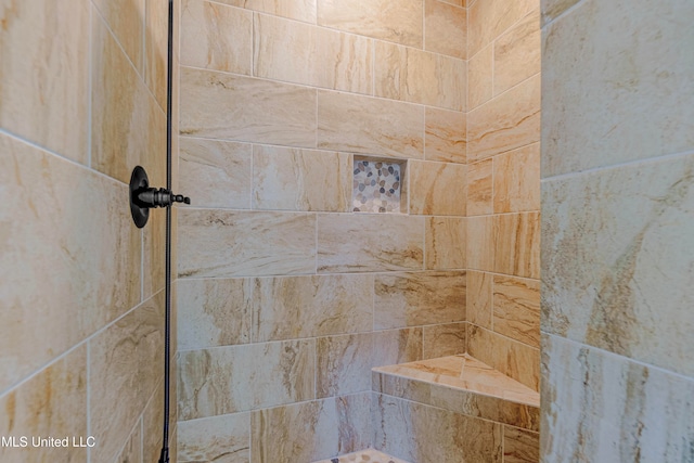 interior details with tiled shower