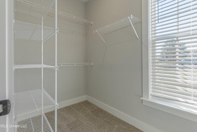 5640 Drew Glazer Dr, Olive Branch, MS 38654 - walk in closet with carpet flooring