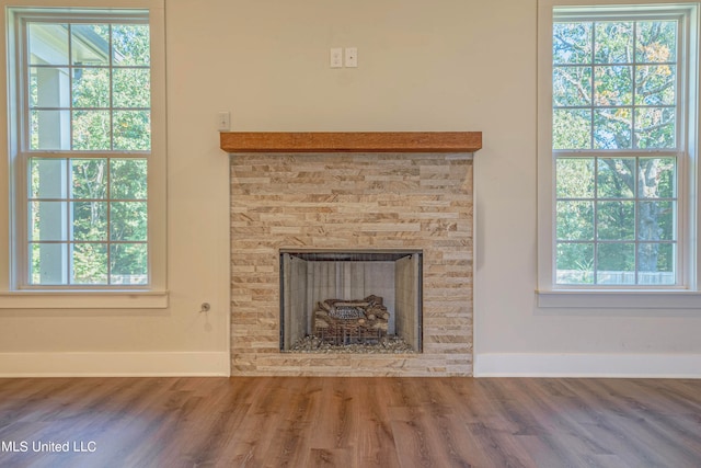 interior details featuring a stone fireplace and hardwood / wood-style flooring