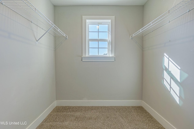 5640 Drew Glazer Dr, Olive Branch, MS 38654 - spacious closet with carpet flooring