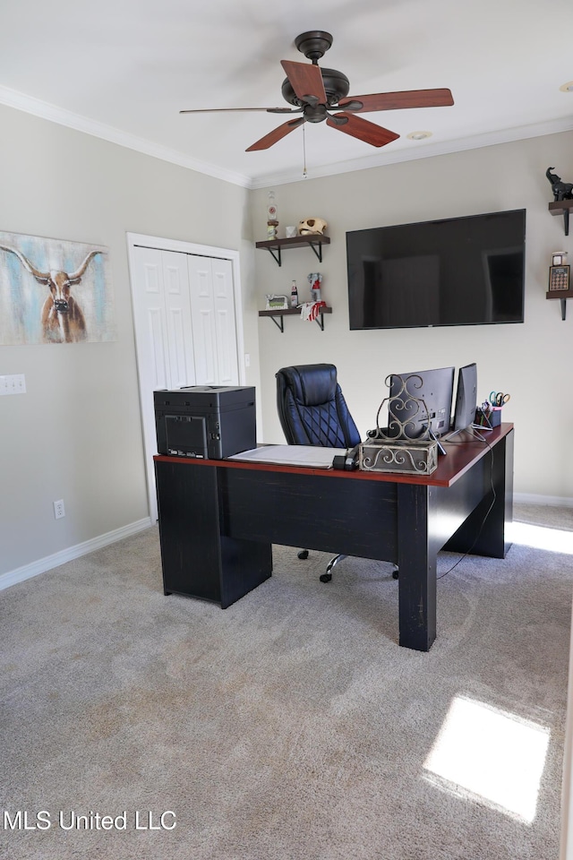 carpeted office space with ceiling fan and ornamental molding