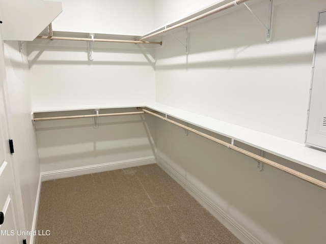 walk in closet featuring carpet floors